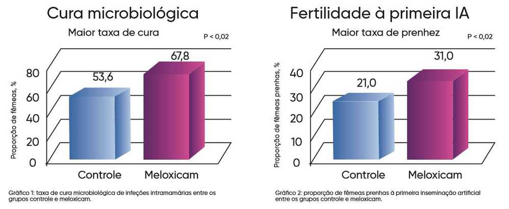 Proporção de prenhez à primeira inseminação artificial 