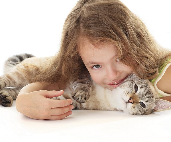 Artigos - Toxoplasmose: conheça melhor essa doença e saiba como proteger seus pets e sua família